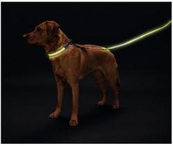 Hunter LED  Manoa Glow 30/120 