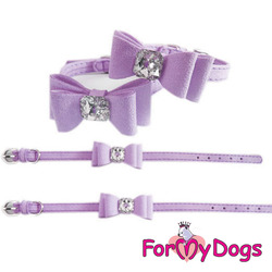 ForMyDogs    , ,  125