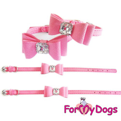 ForMyDogs    , ,  125