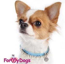 ForMyDogs          126