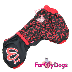 ForMyDogs    "" /,   ,  49