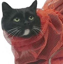 Osso Fashion Сумка-сетка для мытья и груминга кошек и мелких животных, размер M, L