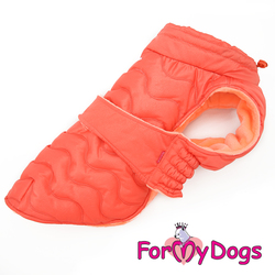 ForMyDogs     ,  D2