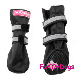 ForMyDogs     ,  ,  1