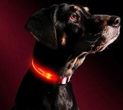 АНТ Ошейник Pet Collar светящийся на светодиодах, 3 размера