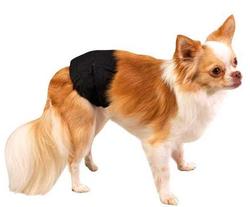  CleanGoPet   , ,  L