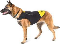 K9-Sport JULIUS    , -