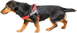 K9-Sport JULIUS Шлейка для собак Ремни Color & Gray IDC®, красный