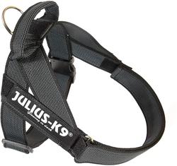 K9-Sport JULIUS     Color & Gray IDC, 