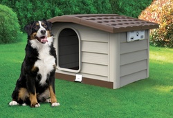 BAMA PET    BUNGALOW, , 