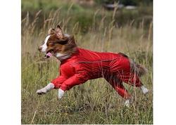 Osso Fashion Дождевик для крупных собак, модель для девочки, красный, спина 65см, грудь 72-90см