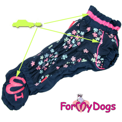 ForMyDogs    "" /,   ,  2, 2