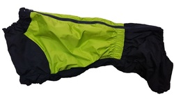 LifeDog    , /,  4,  50-52