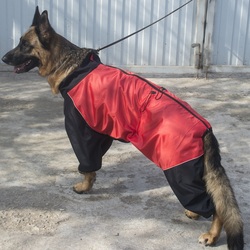 LifeDog Дождевик для средних пород собак красный/черный, размер №8, спина 50 -52см