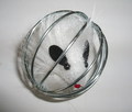 Beeztees Игрушка для кошек Мышь в металлическом шаре, размер 5,5 см
