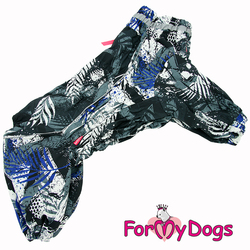 ForMyDogs    /  ,  1, 2