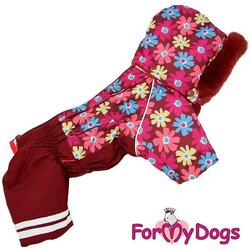 ForMyDogs  "" ,  16,   