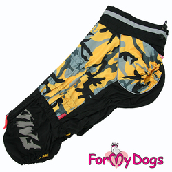 ForMyDogs    /,    39,  41