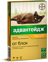 Bayer  40       4 