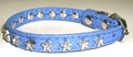 ForMyDogs     STAR ,  1,021