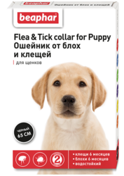 Beaphar    Flea & Tick collar for Puppy     65