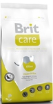 Brit Care  ,    , .