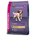 Eukanuba Puppy &amp; Junior Lamb&amp;Rice  ,   , .