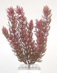 Tetra Plantastics искусственное растение Перистолистник красный