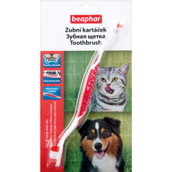 Beaphar Toothbrush     