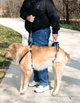 PetSafe Шлейка для пожилых, травмированных собак CareLift