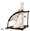 Kitty City      :  . "Climbing Hill": 44*45*45,  (sp0304)