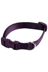 Papillon  ,  (Adjustable nylon collar, colour purple)