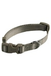 Papillon  ,  (Adjustable nylon collar, colour grey)