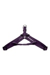 Papillon  ,  (Nylon harness, colour purple)