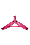 Papillon  ,  (Nylon harness, colour purple)