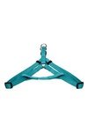 Papillon  ,  (Nylon harness, colour turquoise)