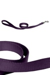 Papillon  ,  (Nylon lead, colour purple), 120