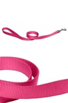 Papillon  ,  (Nylon lead, colour pink), 120