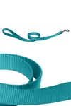 Papillon  ,  (Nylon lead, turquoise), 120