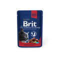 Brit Care Premium       100  24