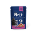Brit Care Premium      100  24