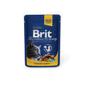 Brit Care Premium       100  24
