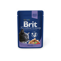 Brit Care Premium     100 24